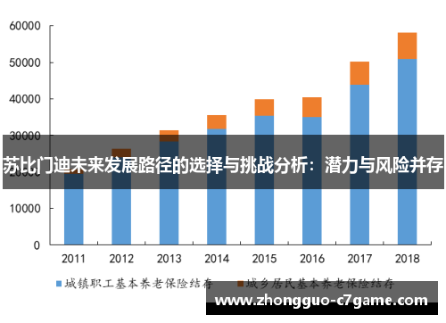 苏比门迪未来发展路径的选择与挑战分析：潜力与风险并存