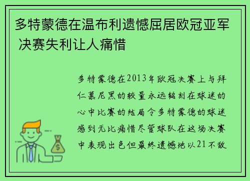 多特蒙德在温布利遗憾屈居欧冠亚军 决赛失利让人痛惜 多特蒙德在温布利遗憾屈居欧冠亚军 决赛失利让人痛惜